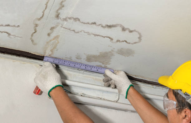 Reliable Water Damage Repair contractor in Flanders, NJ by Hirex Water Damage